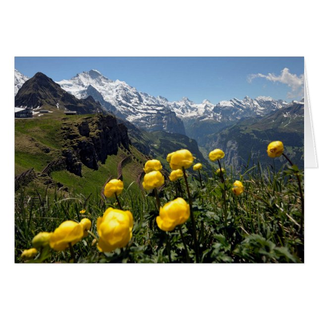 Tarjetas de felicitaciones suizas, Grindelwald, (Anverso (Horizontal))