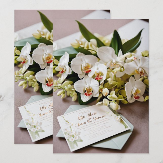 Tarjetas de Felitaciones > Tarjetas de Agradecimie (Anverso / Reverso)