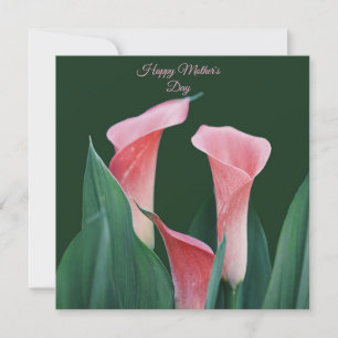 Tarjetas de Feliz Día de la Madre