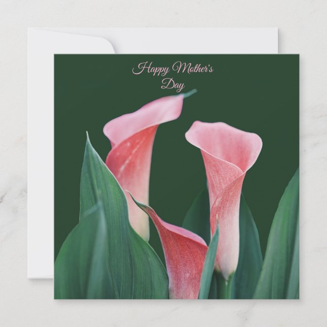 Tarjetas de Feliz Día de la Madre (Anverso)