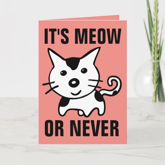 TARJETAS DE FELIZ DÍA DE SAN VALENTÍN DE GATO DIVE (Anverso)