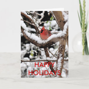 Tarjetas de festividad cardinales para navidades