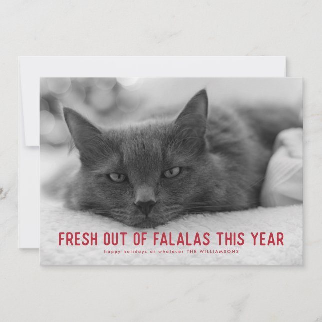 Tarjetas de festividad divertidas de Falalas (Anverso)