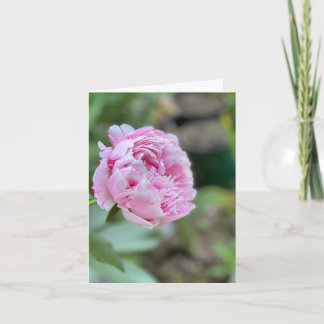 Tarjetas de flores de la ciudad de Nueva York