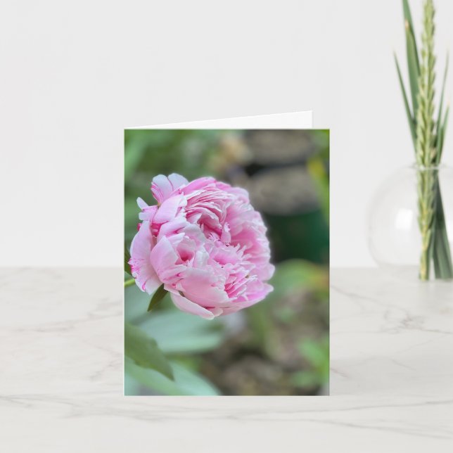 Tarjetas de flores de la ciudad de Nueva York (Anverso)