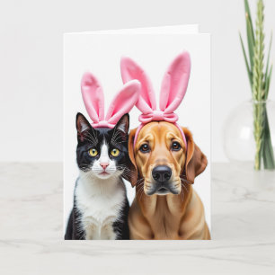 Tarjetas de Foto de Diademas de Mascotas Lindas