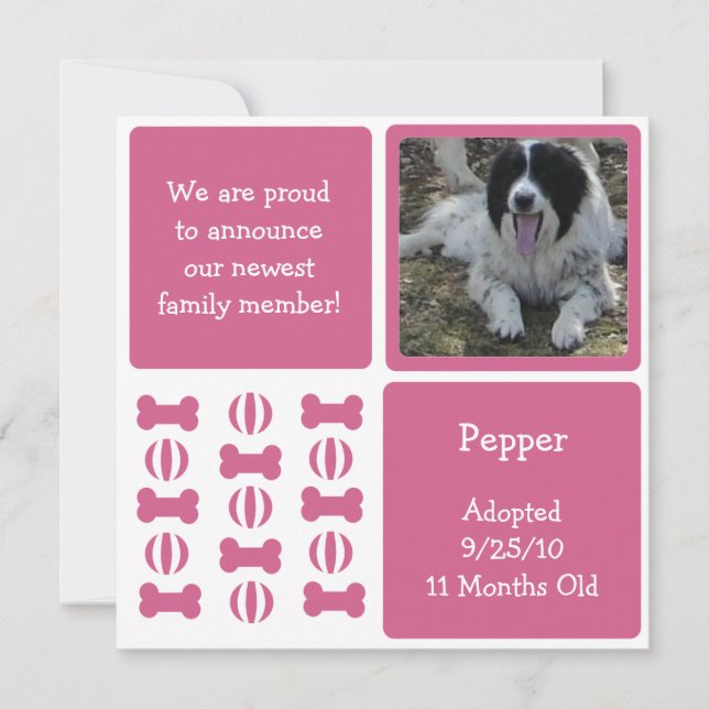 Tarjetas de foto de Mascota de perro rosado para I (Anverso)