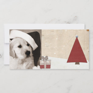tarjetas de foto mascota de navidades de bienvenid