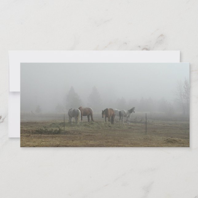 Tarjetas de fotos Frosty Morning Fog (Anverso)