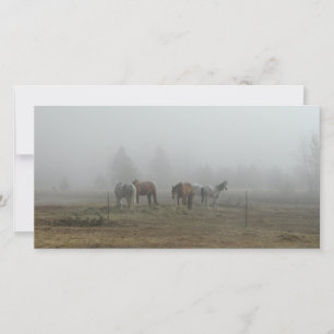 Tarjetas de fotos Frosty Morning Fog