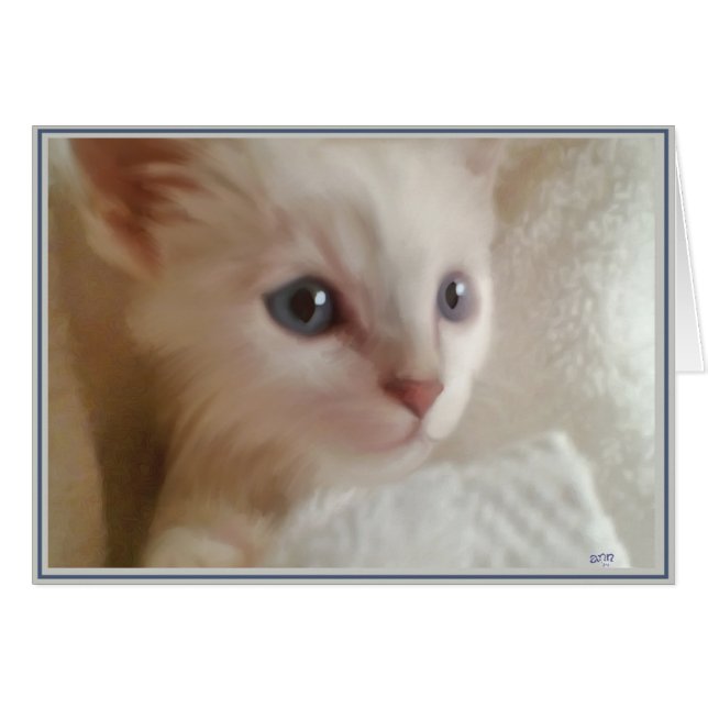 Tarjetas de gatitos PUPs 11 (Anverso (Horizontal))