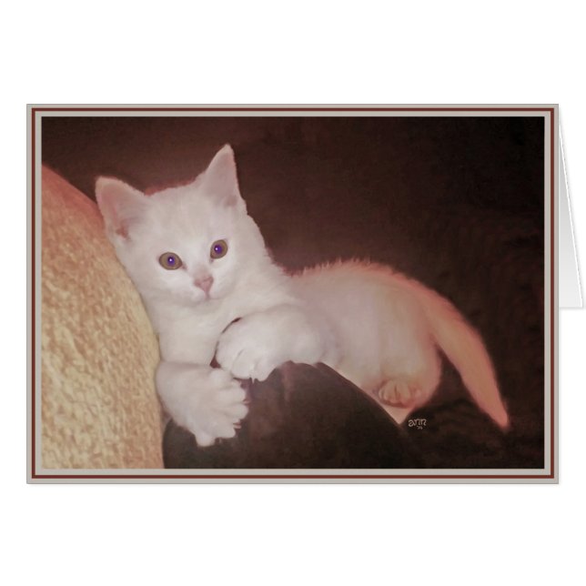 Tarjetas de gatitos PUPs 14 (Anverso (Horizontal))