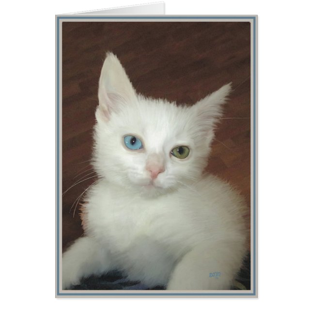 Tarjetas de gatitos PUPs 17 (Frente)