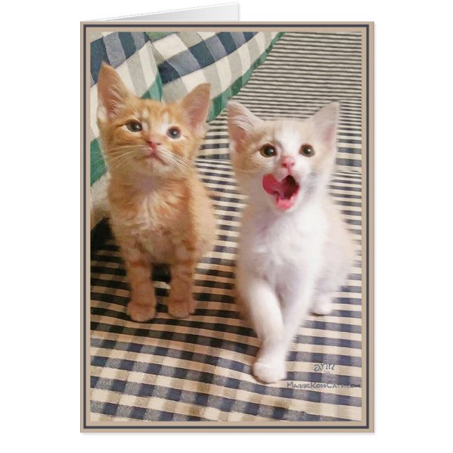 Tarjetas de gatitos PUPs 5 (Frente)