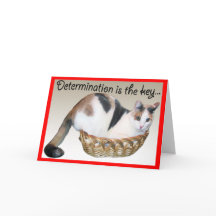 Tarjetas de gato, curioso estímulo a un amigo