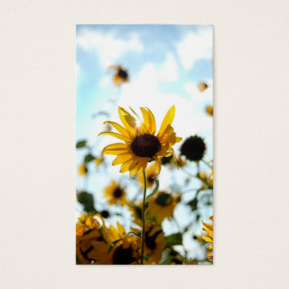 Tarjetas de girasol
