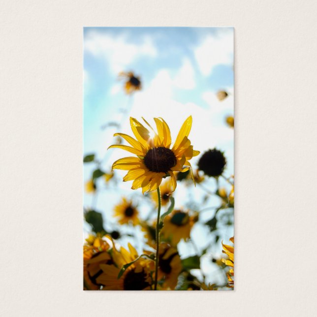 Tarjetas de girasol (Frente)