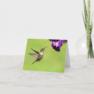 Tarjetas de Hummer en vuelo