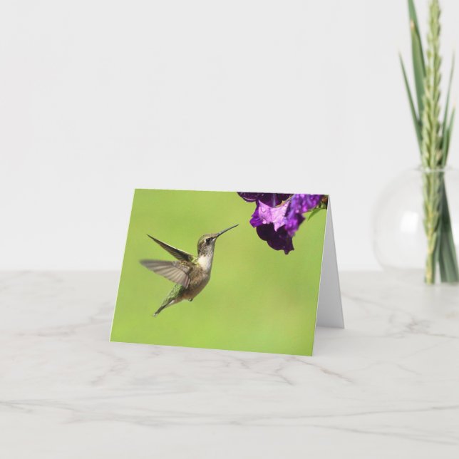 Tarjetas de Hummer en vuelo (Anverso)