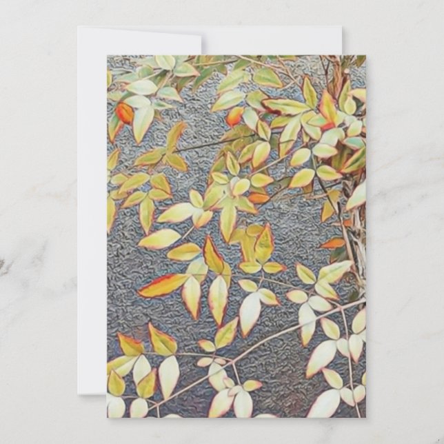 Tarjetas de invitación / (Anverso)