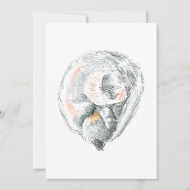 Tarjetas de Invitación y Anuncios de Gato Durmiend (Anverso)