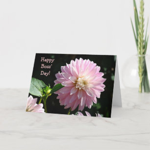 Tarjetas de jefes flores de dalia rosa ¡Feliz día 