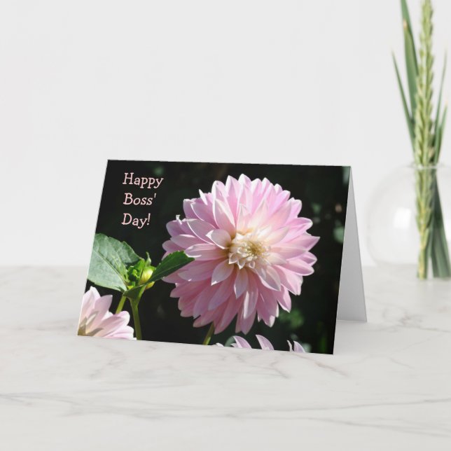 Tarjetas de jefes flores de dalia rosa ¡Feliz día  (Anverso)