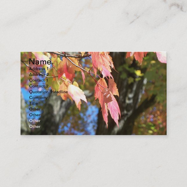 Tarjetas de la caída (Anverso)