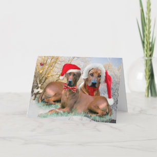 Tarjetas de la escena del navidad de Rhodesian
