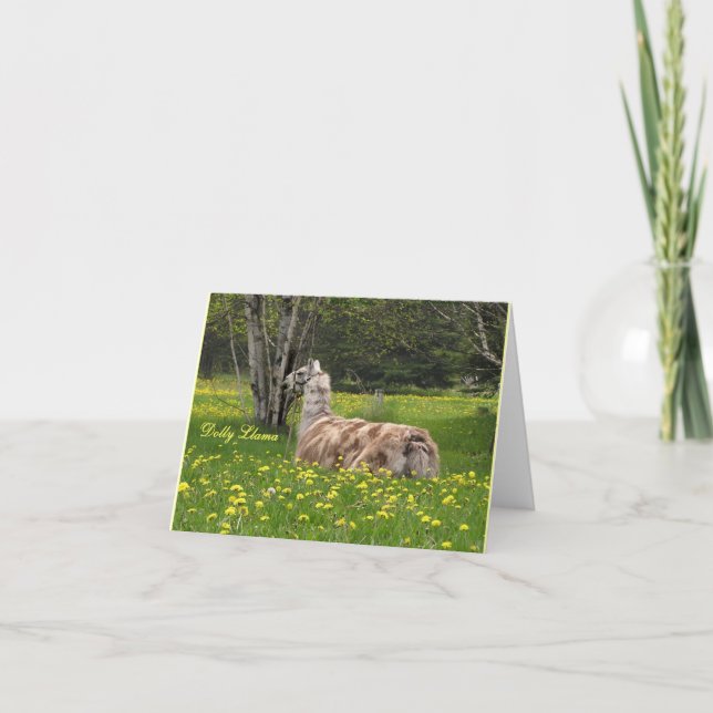 Tarjetas de la llama que hablan (Anverso)