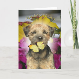 Tarjetas de la mamá de Terrier de frontera