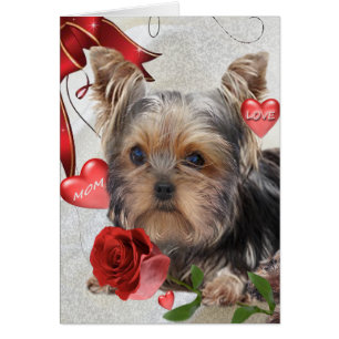 Tarjetas de la mamá de Yorkshire Terrier