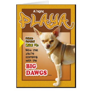 Tarjetas de la prisión - Dawg superior