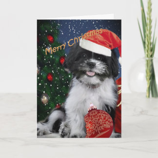 Tarjetas de las Felices Navidad de Shih Tzu