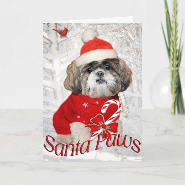 Tarjetas de las patas de Shih Tzu Santa (Anverso)