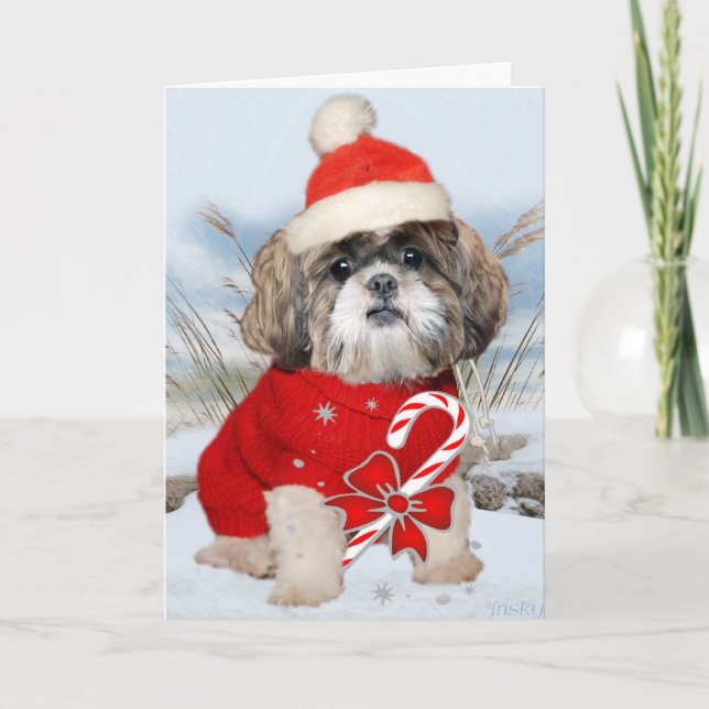 Tarjetas de las patas de Shih Tzu Santa (Anverso)