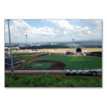 Tarjetas de lectura de campos de béisbol para adul