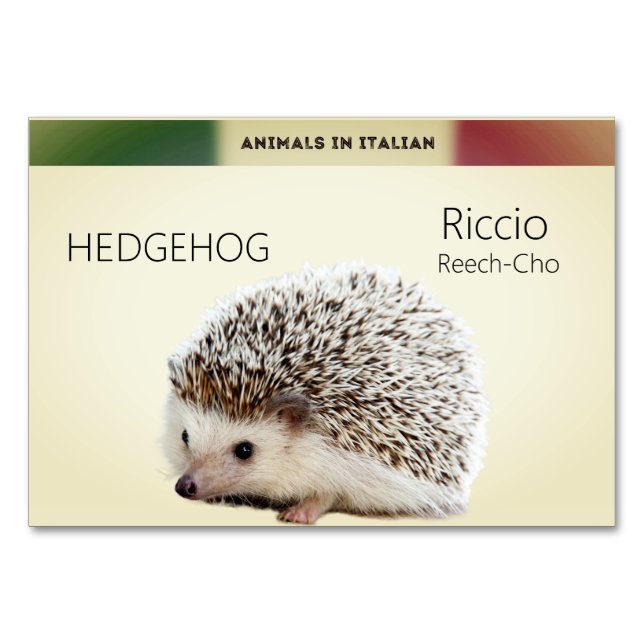 Tarjetas de lengua italiana Hedgehog Animal Flash  (Anverso)
