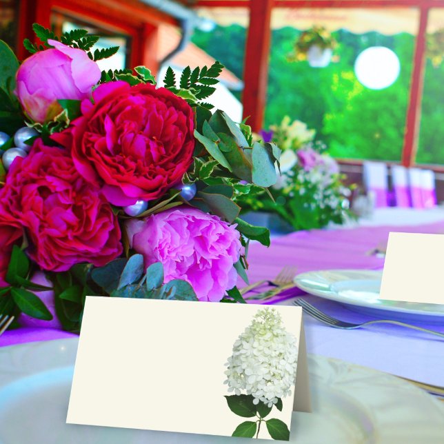 Tarjetas de lugar con flores de Hortensia blanca b (Subido por el creador)