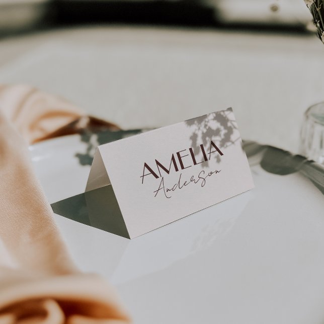 Tarjetas de lugar de boda Chocolate Brown Old Mone (Subido por el creador)