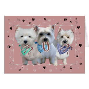 Tarjetas de mamá de Westie