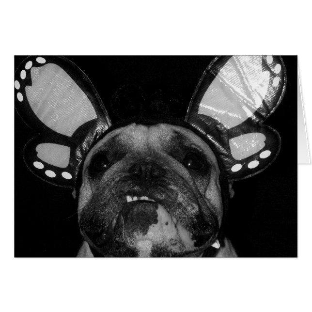 Tarjetas de mariposa Ava (Anverso (Horizontal))