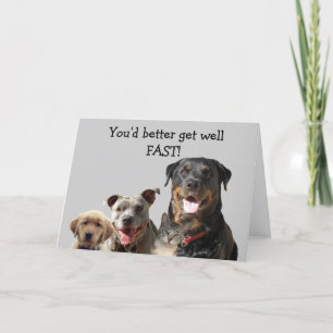 Tarjetas de Mascotas Adorables