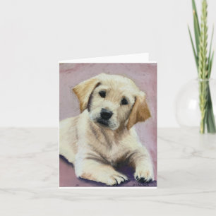 tarjetas de memoria de cachorrito de laboratorio a
