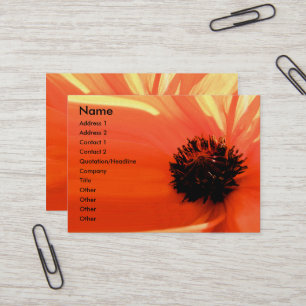 Tarjetas de naranja Coral Poppy Floral