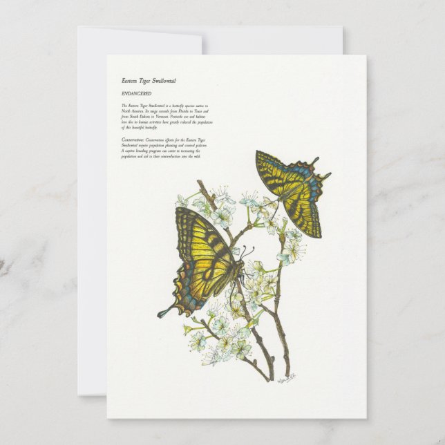 tarjetas de Navidad (Anverso)