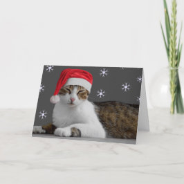 Tarjetas de navidad