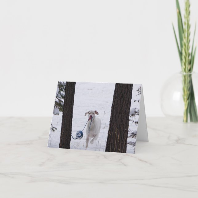 tarjetas de Navidad (Anverso)