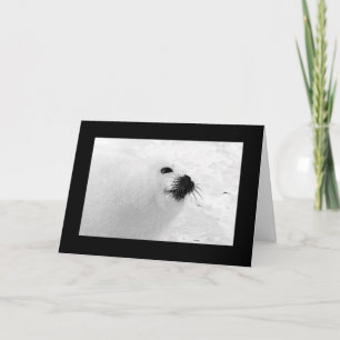 Tarjetas de Navidad blanco negro Vacaciones blan