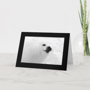 Tarjetas de Navidad blanco negro Vacaciones blan